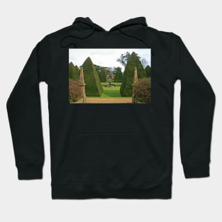 The Great Court Garden Hoodie